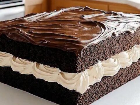 A slice of chocolate sheet cake on a white plate showing layers of cake, cream, and ganache.