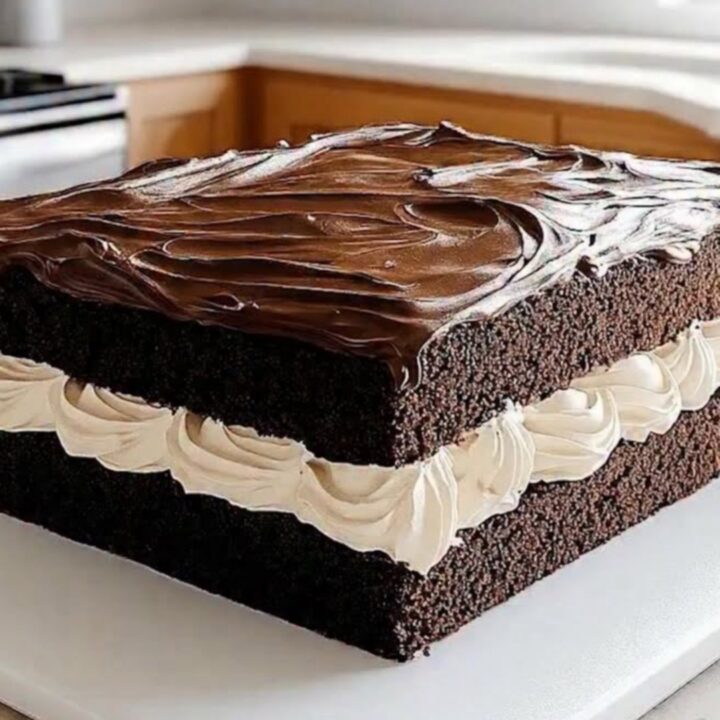 A slice of chocolate sheet cake on a white plate showing layers of cake, cream, and ganache.