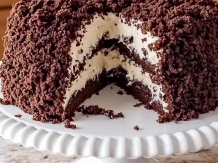 A slice of decadent chocolate cake with visible coconut cream filling and a crumble topping on a white stand.