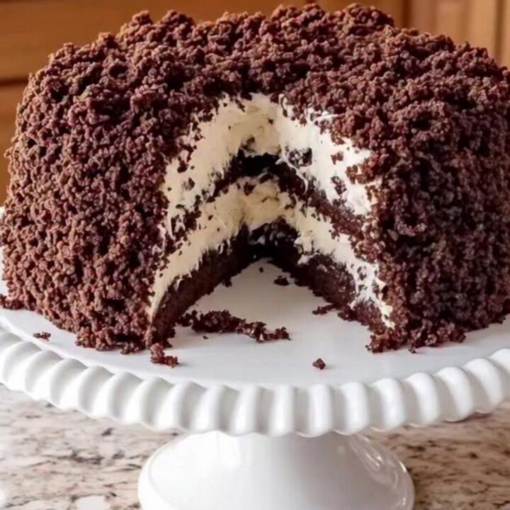 A slice of decadent chocolate cake with visible coconut cream filling and a crumble topping on a white stand.