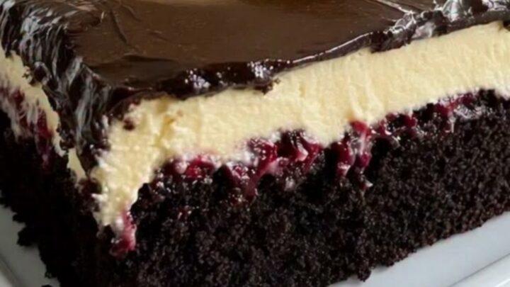A slice of Black Forest sheet cake on a white plate showing layers of sponge, cherries, and cream.