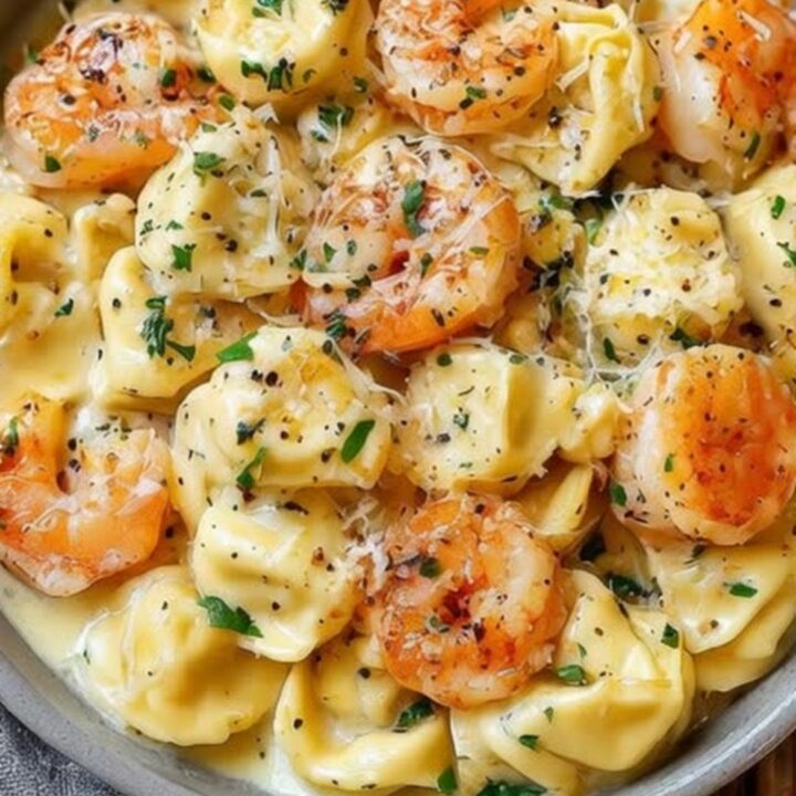 A steaming bowl of cheese tortellini and seared shrimp coated in rich alfredo sauce, garnished with parmesan.