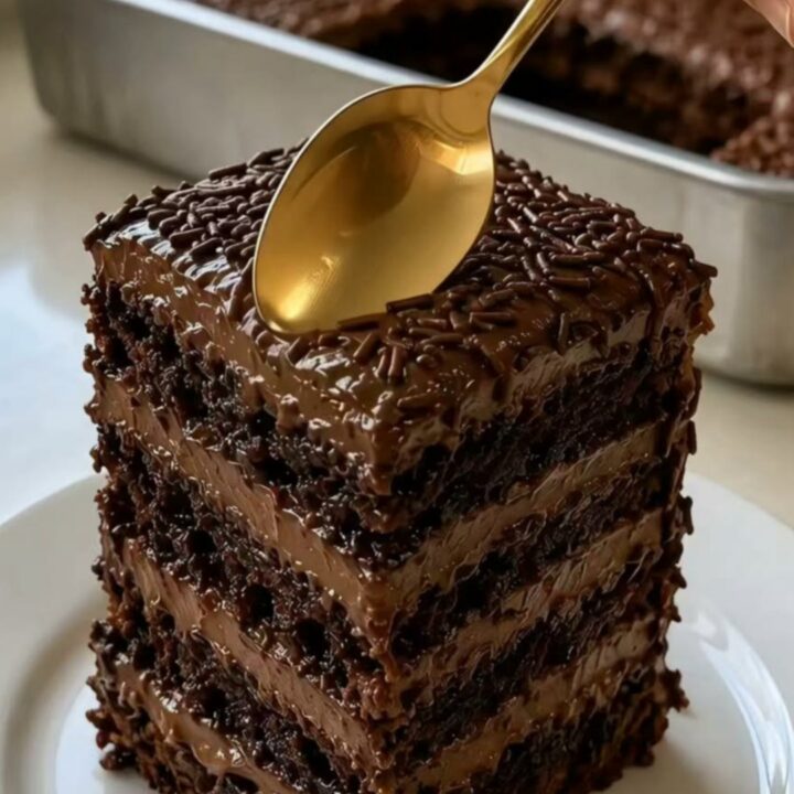 A towering chocolate fudge layer cake on a white plate with glossy frosting and sprinkles.
