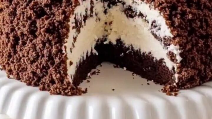 A dome-shaped chocolate crumble cake sits on a white fluted cake stand.