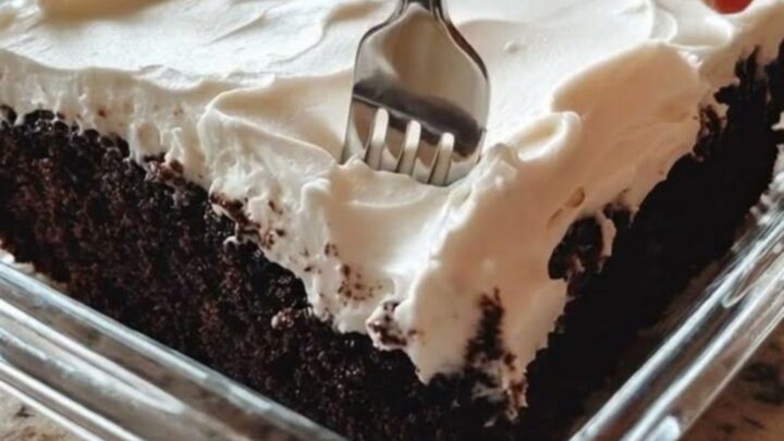 A square slice of moist chocolate wacky cake topped with fluffy white frosting on a white plate.