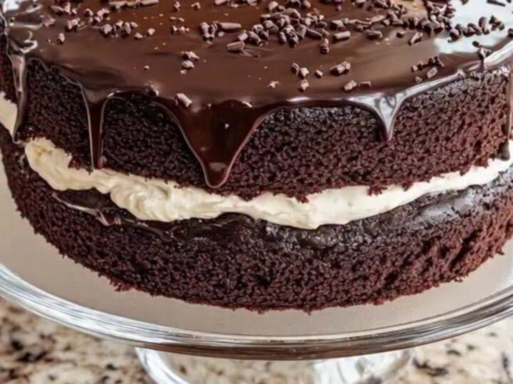 A two-layer chocolate cake with glossy ganache drips and sprinkles on a glass stand.