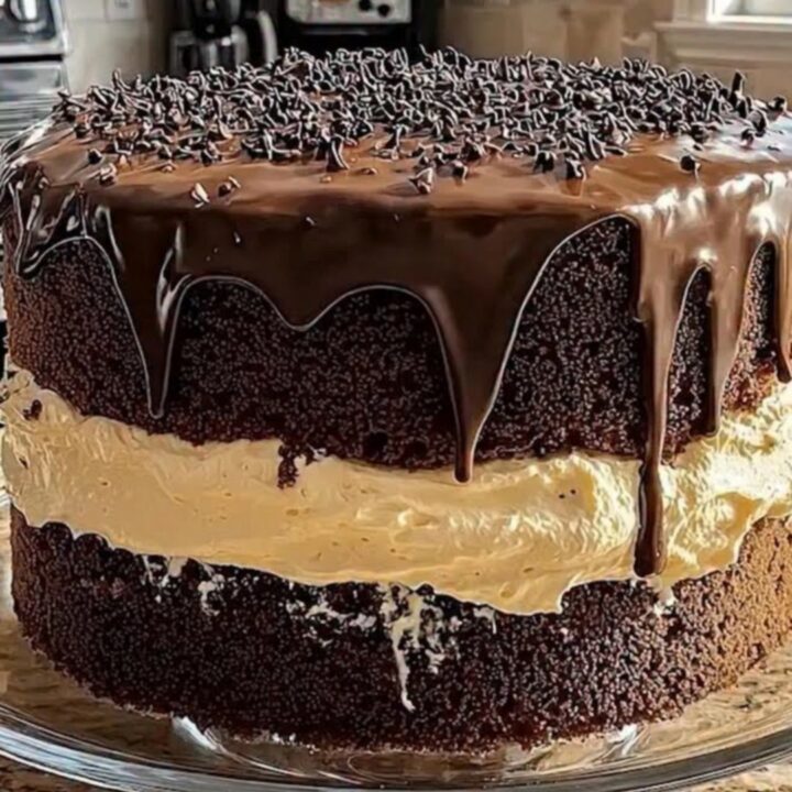 A thick, decadent slice of double-layer chocolate cake with visible vanilla cream filling and ganache drips.