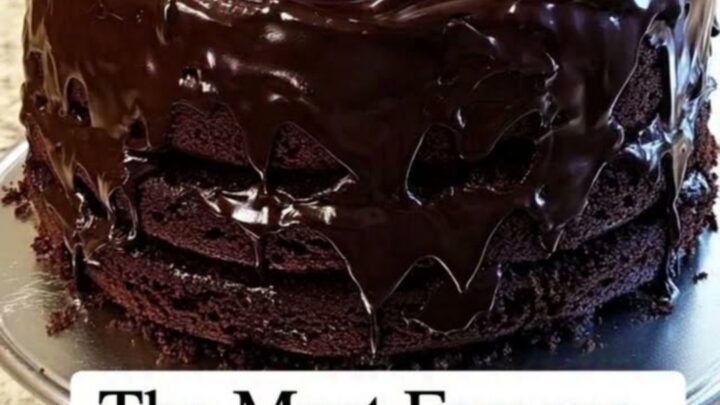 A slice of rich, moist chocolate fudge cake on a silver stand with glossy frosting.