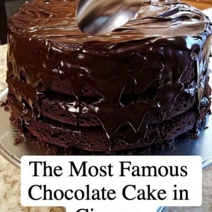 A slice of rich, moist chocolate fudge cake on a silver stand with glossy frosting.