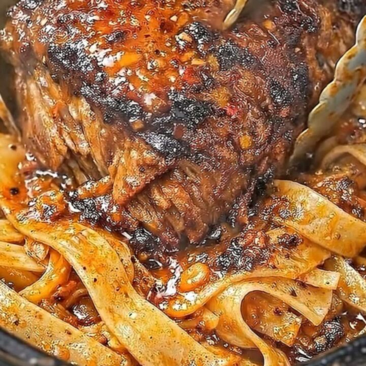 A steaming bowl of tender shredded beef served over wide pappardelle noodles in a rich sauce.
