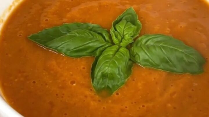 A bowl of creamy tomato basil soup garnished with fresh basil leaves on a bright kitchen counter.