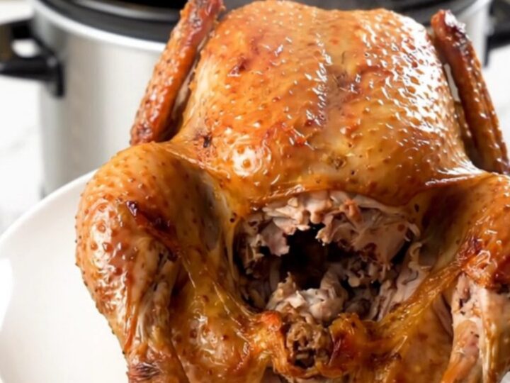 A golden-brown whole roasted chicken sits on a clean white plate, steaming slightly.
