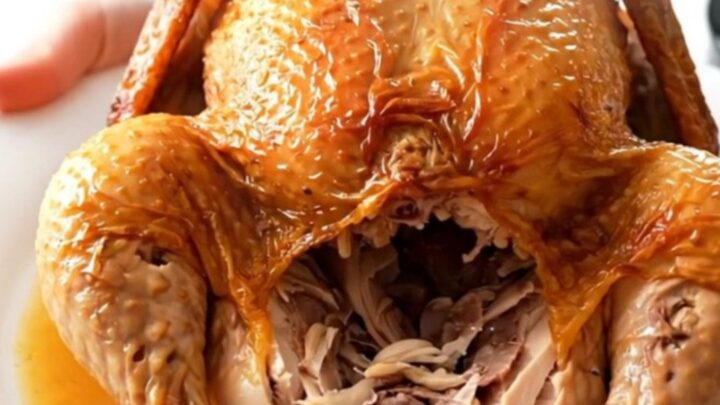 A whole roasted chicken in a slow cooker surrounded by sliced apples and savory sauce.