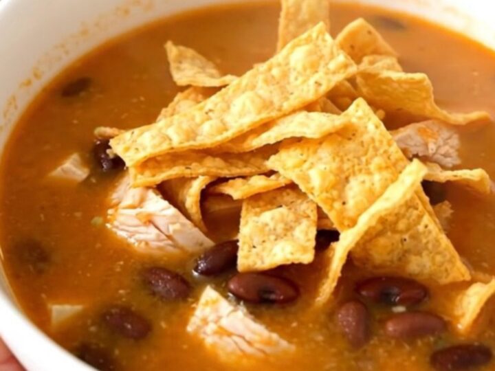 A white bowl filled with steaming chicken tortilla soup, topped with crispy tortilla strips and held by a hand.