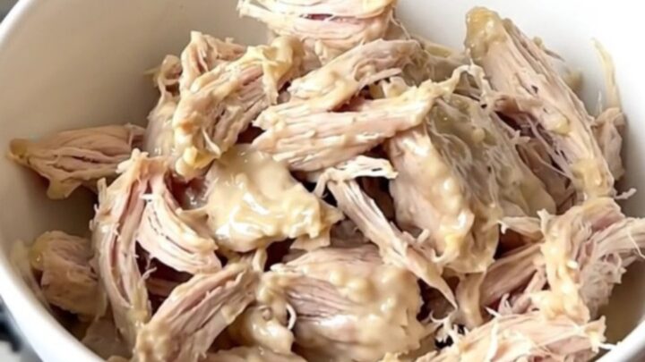 A close-up of creamy shredded queso blanco chicken in a white bowl with a subtle steam effect.