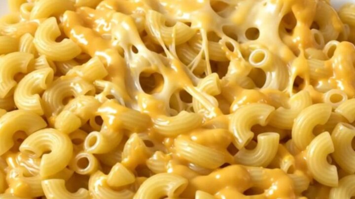 A steaming, creamy bowl of four cheese macaroni and cheese served in a white bowl.