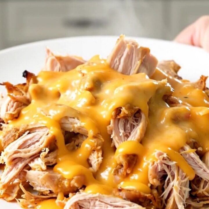 A top-down view of raw chicken breasts, bell peppers, and salsa con queso in a slow cooker.