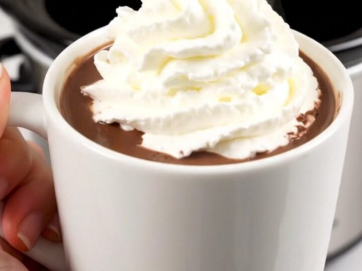 A steaming mug of gingerbread hot chocolate topped with whipped cream, sitting on a counter.