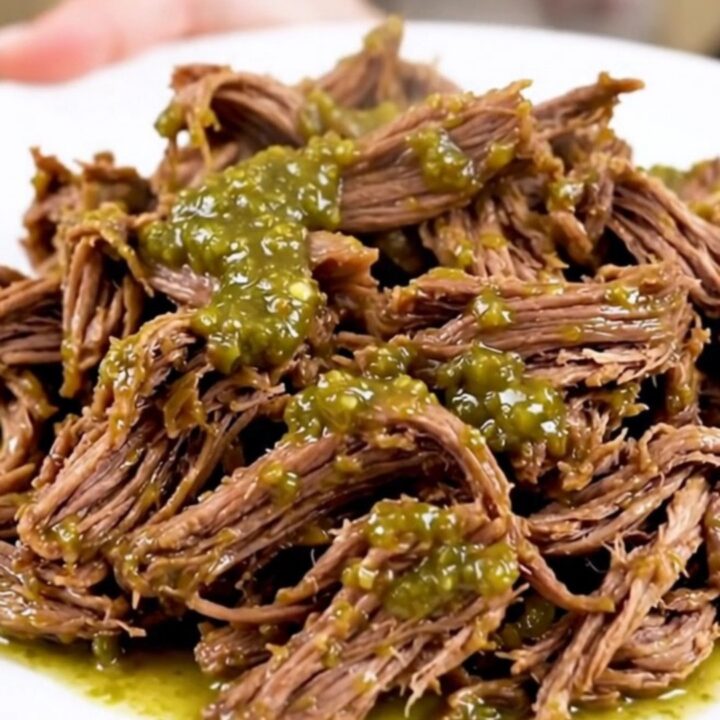 A close-up shot of juicy, steaming green chile shredded beef on a white plate.