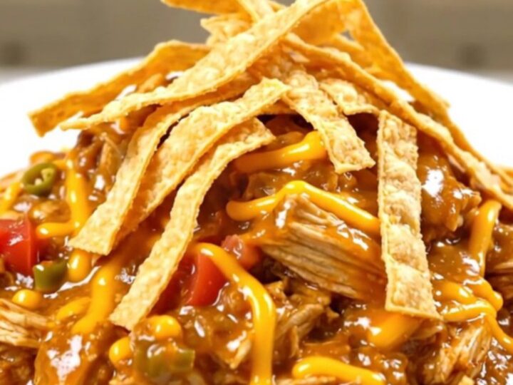 A steaming, creamy bowl of King Ranch Chicken topped with melted cheddar and crunchy tortilla strips.