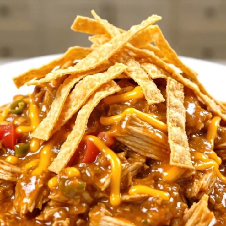 A steaming, creamy bowl of King Ranch Chicken topped with melted cheddar and crunchy tortilla strips.