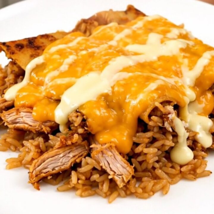 A steaming plate of shredded cheesy enchilada chicken and rice served in a white bowl.