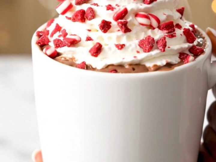 A steaming mug of dark chocolate peppermint cocoa topped with whipped cream and crushed candy canes.
