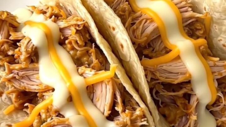 A close-up of shredded creamy pepper jack chicken inside a warm flour tortilla on a white plate.