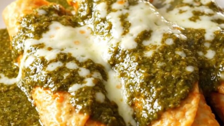 A close-up of creamy shredded chicken with diced poblano peppers in a glossy green sauce.