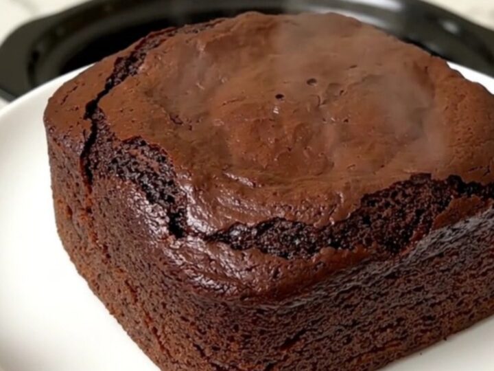 A warm, rich chocolate dump cake served on a clean white plate with a glossy, molten texture.