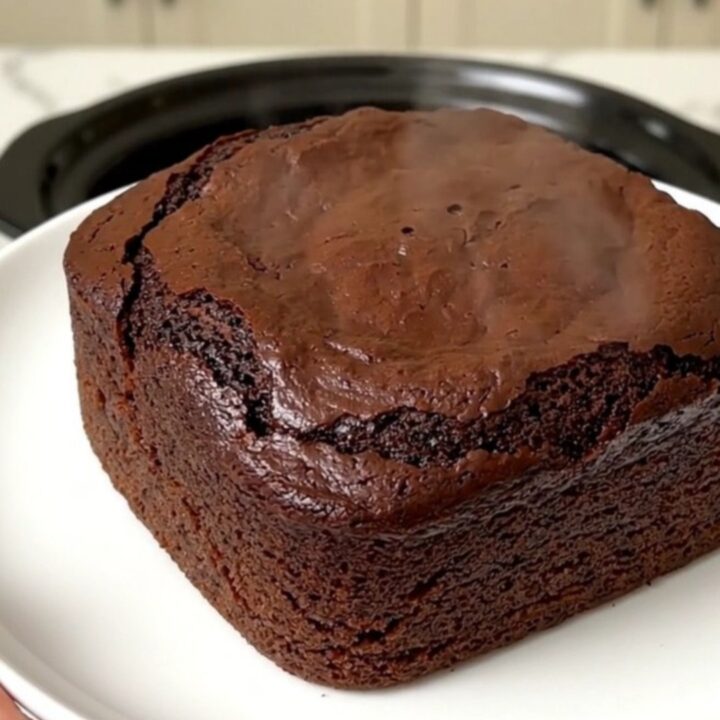A warm, rich chocolate dump cake served on a clean white plate with a glossy, molten texture.
