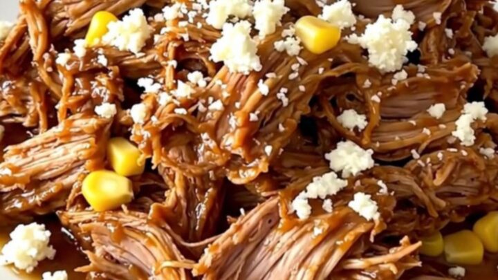 A plate of shredded pulled pork mixed with corn and topped with crumbled cotija cheese.