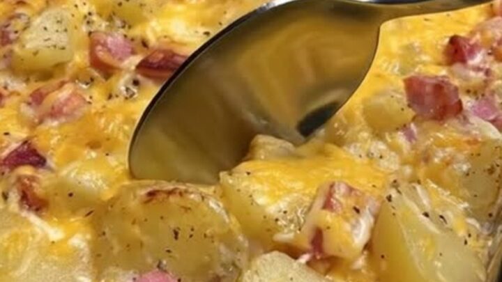 A warm glass baking dish filled with bubbly, golden, cheesy potato and ham casserole fresh out of the oven.