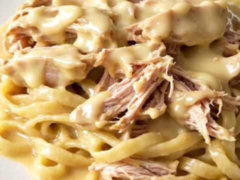 A close-up of shredded chicken in a creamy Havarti herb sauce served over buttered egg noodles on a white plate.