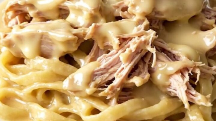 A close-up of shredded chicken in a creamy Havarti herb sauce served over buttered egg noodles on a white plate.