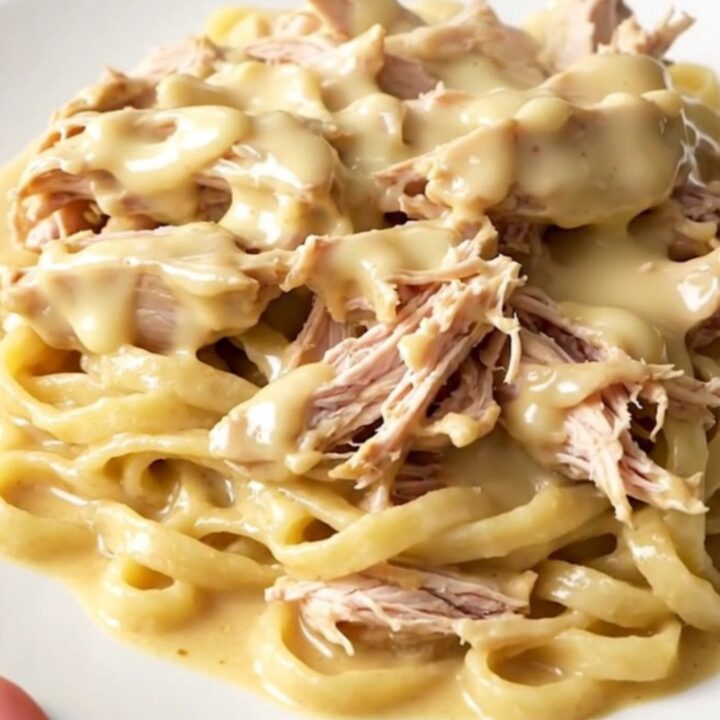 A close-up of shredded chicken in a creamy Havarti herb sauce served over buttered egg noodles on a white plate.