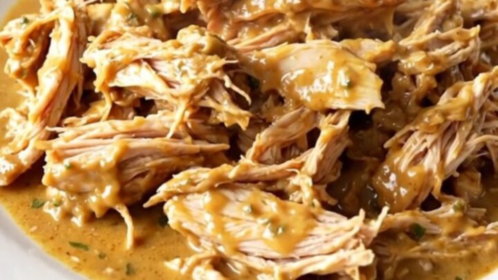 A top-down view of creamy fontina herb chicken served on a white plate.