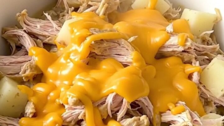 A steaming bowl of shredded chicken, tender potatoes, and creamy sauce held in a hand.