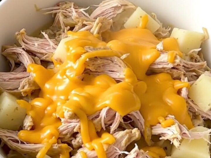 A steaming bowl of shredded chicken, tender potatoes, and creamy sauce held in a hand.
