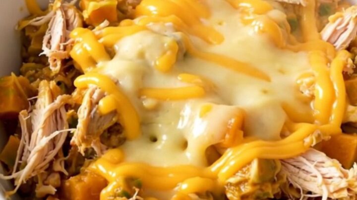 A white bowl filled with creamy shredded chicken, tender butternut squash, and melted cheddar sauce.
