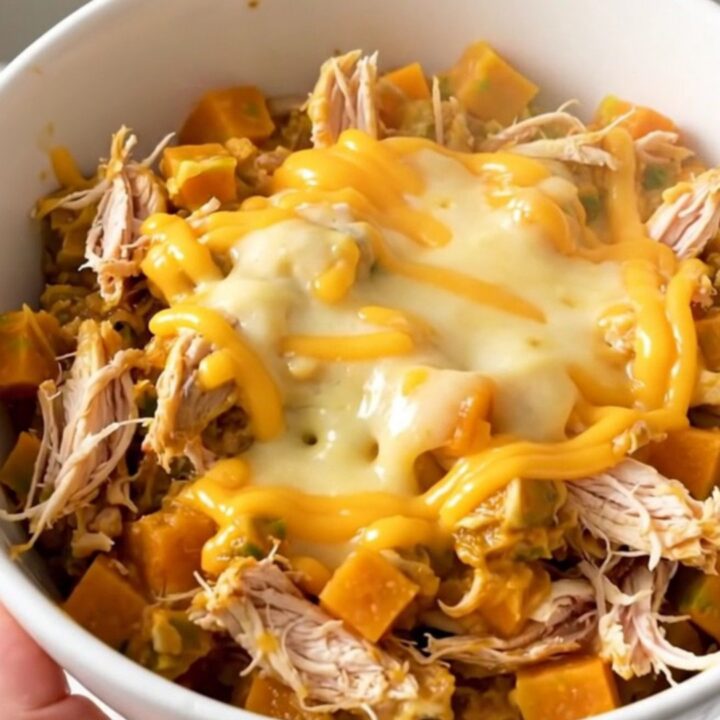 A white bowl filled with creamy shredded chicken, tender butternut squash, and melted cheddar sauce.