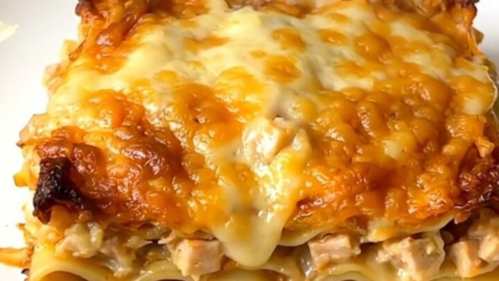 A creamy butternut squash alfredo lasagna served on a white plate.