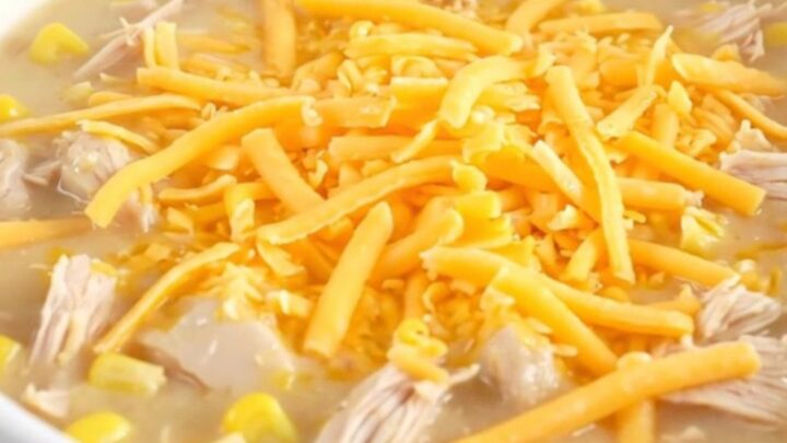 A steaming bowl of creamy chicken and corn chowder topped with melted cheddar cheese.
