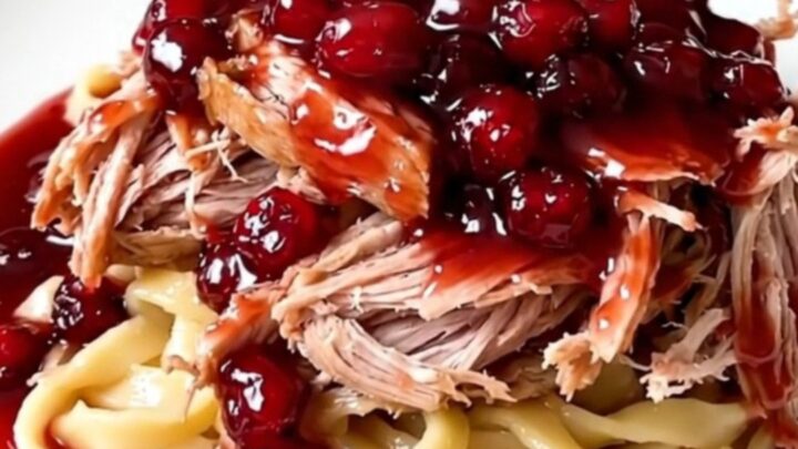 A rustic crockpot cranberry orange pork roast served on a white plate with egg noodles.