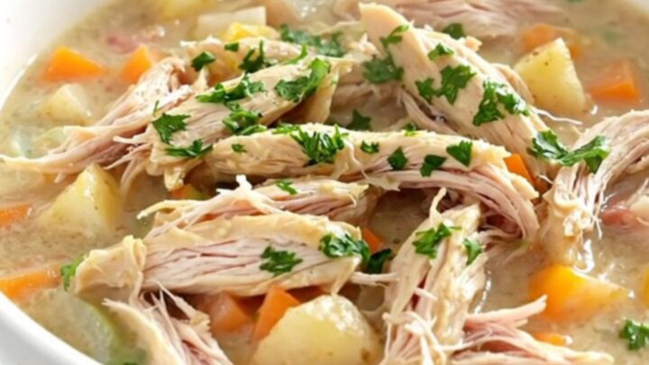 A steaming bowl of creamy ranch chicken stew with tender chicken and baby potatoes.