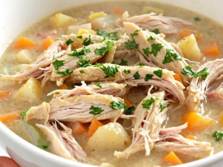 A steaming bowl of creamy ranch chicken stew with tender chicken and baby potatoes.