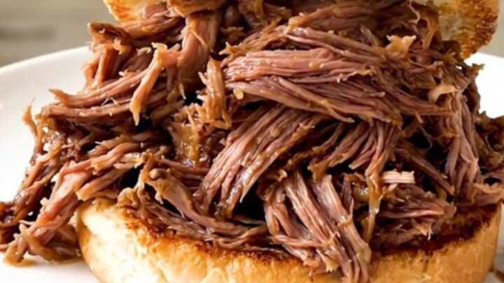 Succulent shredded beef served on a toasted bun on a clean white plate.