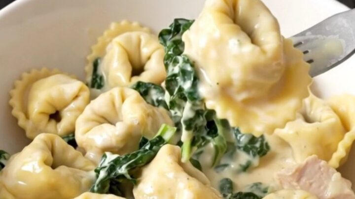 A steaming bowl of creamy chicken tortellini with fresh spinach and Italian herbs.