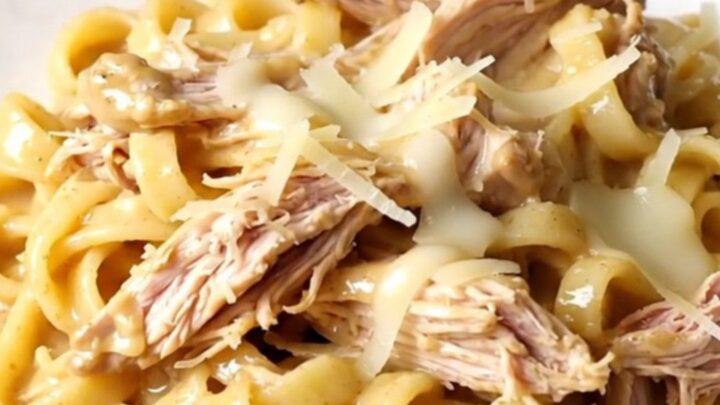 A top-down view of creamy parmesan peppercorn chicken served over egg noodles on a white plate.