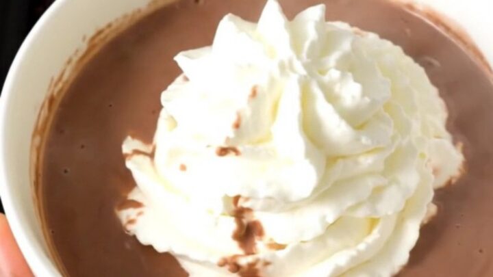 A steaming mug of rich dark hot chocolate topped with a swirl of whipped cream.